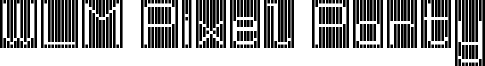 WLM Pixel Party Black Windowed Regular