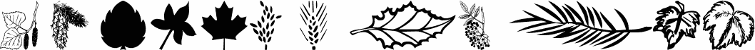 wmleaves1