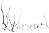 Wolfsfifth