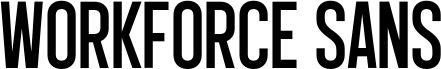 Workforce Sans PERSONAL USE Regular