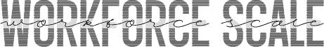 Preview of the Workforce Scale PERSONAL USE Regular font