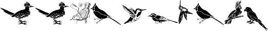 WWFeathers