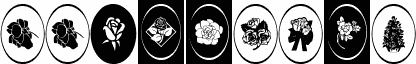 WWRosebud