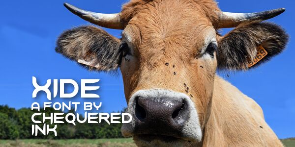 Xide Czcionka