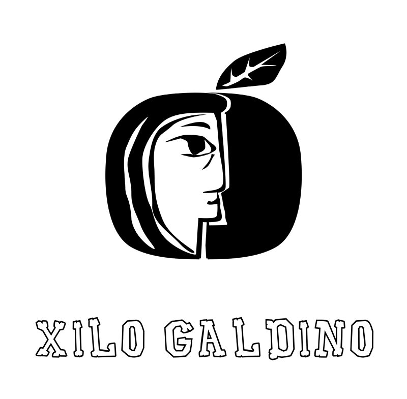 Xilo Galdino Schriftart