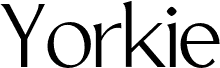 YorkieDEMO-ExtraLight