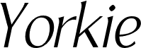 YorkieDEMO-ExtraLightItalic