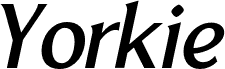 YorkieDEMO-Italic