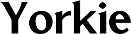 YorkieDEMO-Medium