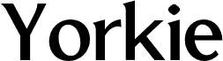 YorkieDEMO-Regular