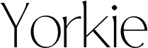 YorkieDEMO-Thin