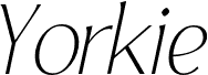 YorkieDEMO-ThinItalic