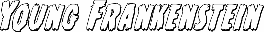 Young Frankenstein 3D Italic