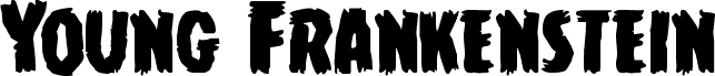Young Frankenstein Expanded