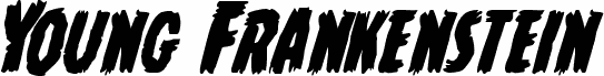 Young Frankenstein Italic