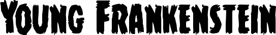 Young Frankenstein Regular