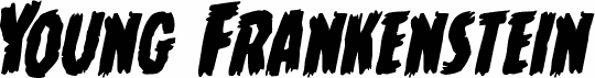 Young Frankenstein Rotalic