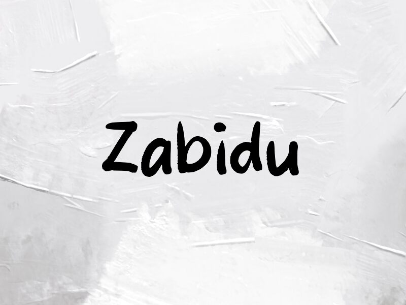 Présentation et spécimen de la police Zabidu