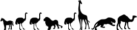 Zoologic