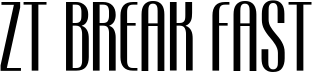 ZT Break Fast Extra Light Alt