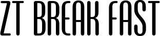 ZT Break Fast Light Rounded