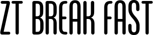 ZT Break Fast Rounded