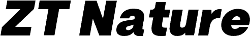 ZT Nature Black Italic フォント