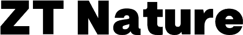 ZT Nature Black フォント