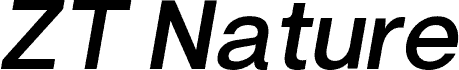 ZT Nature Medium Italic