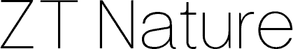 ZT Nature Thin フォント